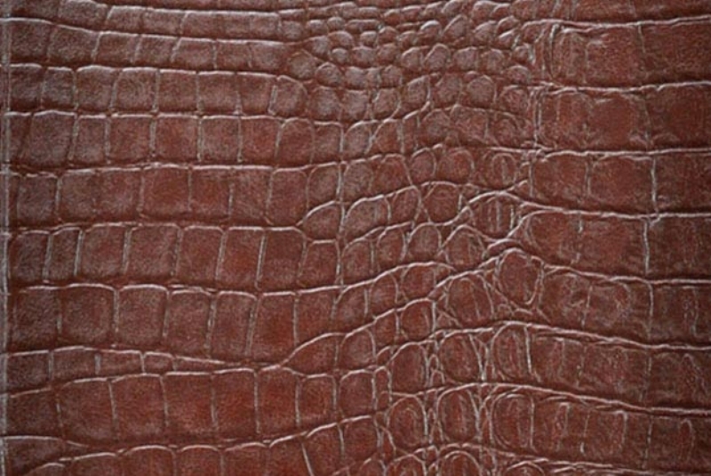 039-Brown Crocodil