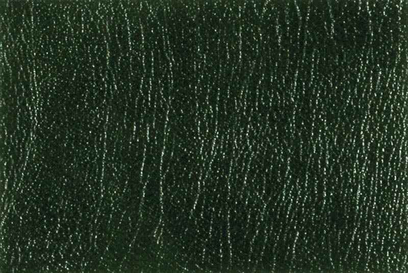 55-Çester Yeşil